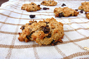 Wholemeal Raisin and Coconut Cookies